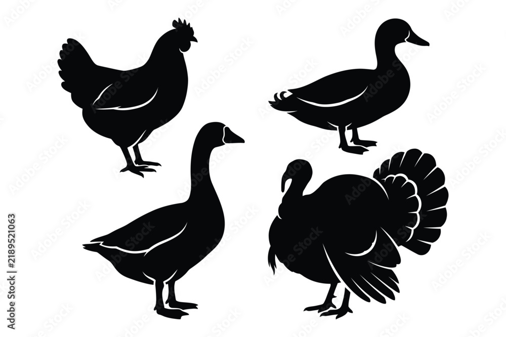 Obraz premium Set of poultry farm bird silhouettes including chicken duck goose and turkey