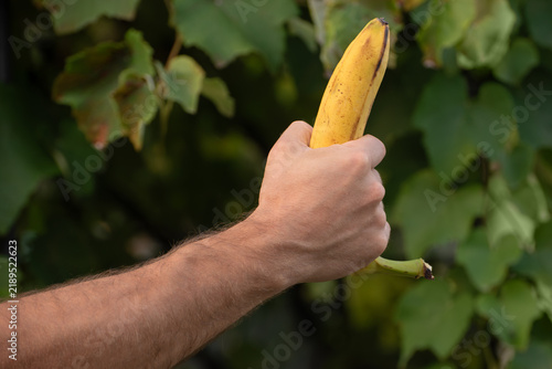 Bild auf Leinwand Person holding a yellow banana in a strong, tight grip, symbolizing concepts of