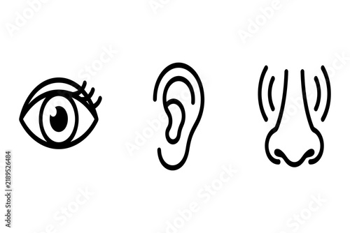 Senses line icons set representing sight hearing and smell with eye ear and nose symbols