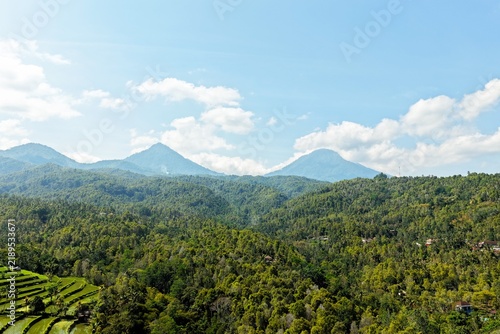 Canvas Print Mountain Landscape and Tropical Forest in Munduk Bali Indonesia