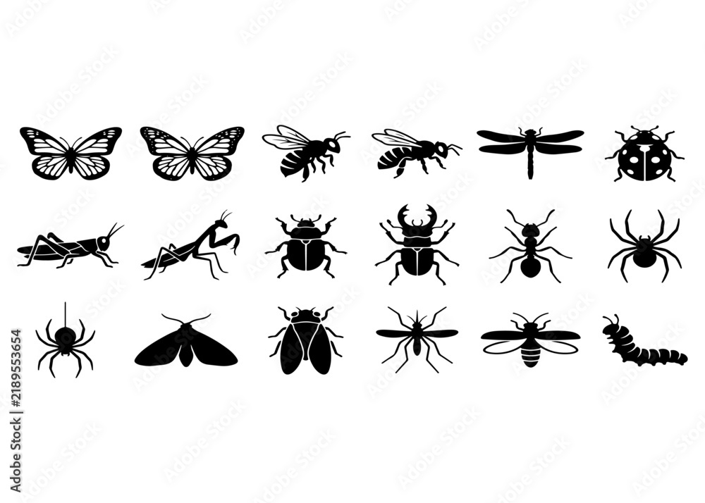 Fototapeta premium Best Selling Black Silhouette Collection of Insects Butterflies Bees Dragonflies Ladybugs Spiders Beetles Nature Wildlife and Decorative Garden Elements