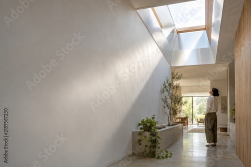 Daylight entering a minimalist hallway through roof windows