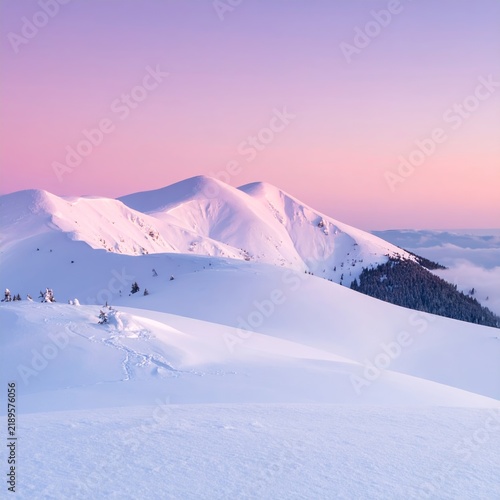 a pink sky