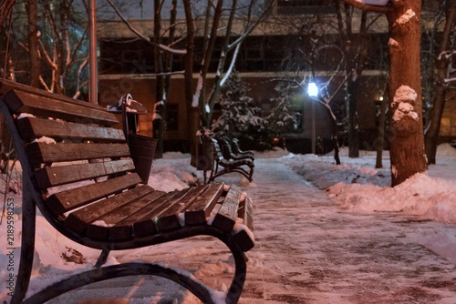 Photography Empty wooden bench beside a snowy path in a winter park at night