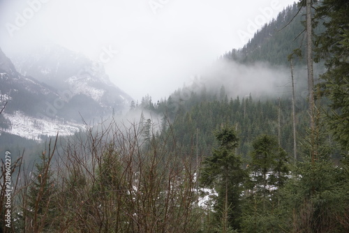 Photography fog in the mountains