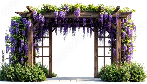 Rustic Wooden Pergola Arch Covered in Blooming Purple Wisteria Vines and Lush Green Foliage