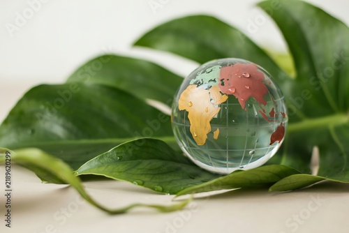 Small glass globe on large green monstera leaf with monstera environment conservation sustainability earthday tropical botanical background protection spherical transparent reflection
