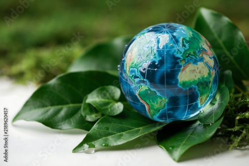 Crystal earth globe resting on lush green leaves representing environmental conservation with environment conservation sustainable sustainability preservation biosphere earthday protection