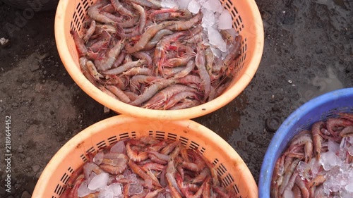 Freshly caught prawns and fish in crates at a busy fishing harbor in Mumbai, India