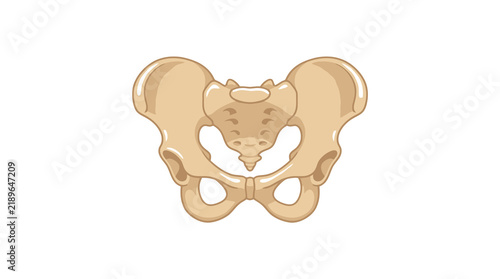 Dynamic Medical of Human Pelvic Bone Anatomy in Light Beige Shade with high quality professional line art symbols for modern creative design and digital branding projects