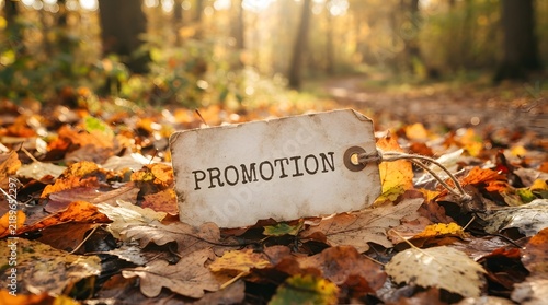 A vintage paper tag with the word promotion written on it, resting on a bed of colorful autumn leaves in a forest setting
