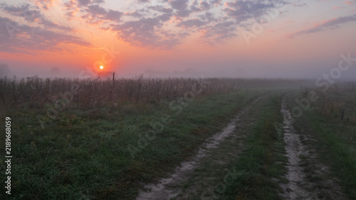 Fotografie A dirt road winds through a misty green field toward a vibrant, low-hanging sun