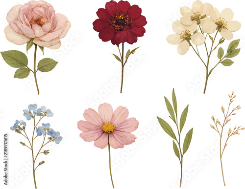 Vintage watercolor floral elements set with delicate flowers and green leaves isolated on white background