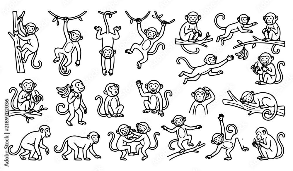 Fototapeta premium Editable Monkey Outline Illustrations in Playful Jungle Poses