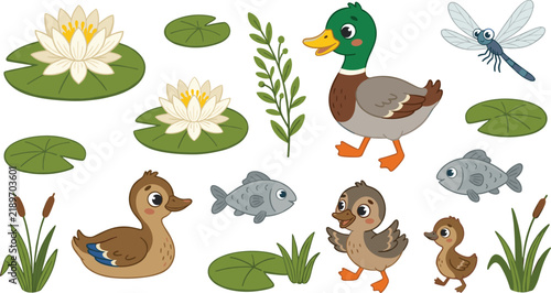 Cute pond life animal set featuring mallard duck ducklings fish water lily vector illustration