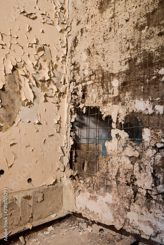 Принти на полотні Neglected room featuring exposed mural and dilapidation