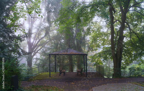 Bild auf Leinwand Nebel am Morgen vertreibt alle Sorgen, im Park auf dem Friedhof unterwegs