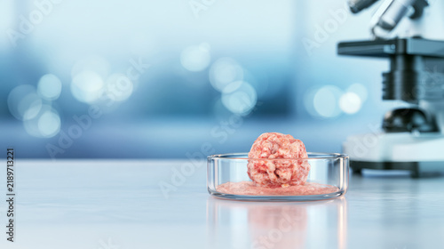 Cells and tumor model in petri dish with microscope, cancer research and immunotherapy concept.