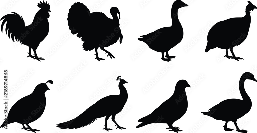 Obraz premium Poultry and domestic bird silhouette vector icon set featuring rooster, turkey, goose, peacock, pigeon, and quail.