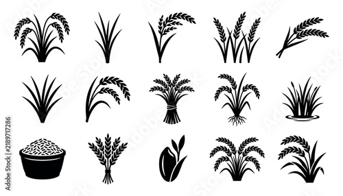 Black and white rice plant icons set, agriculture crop symbols