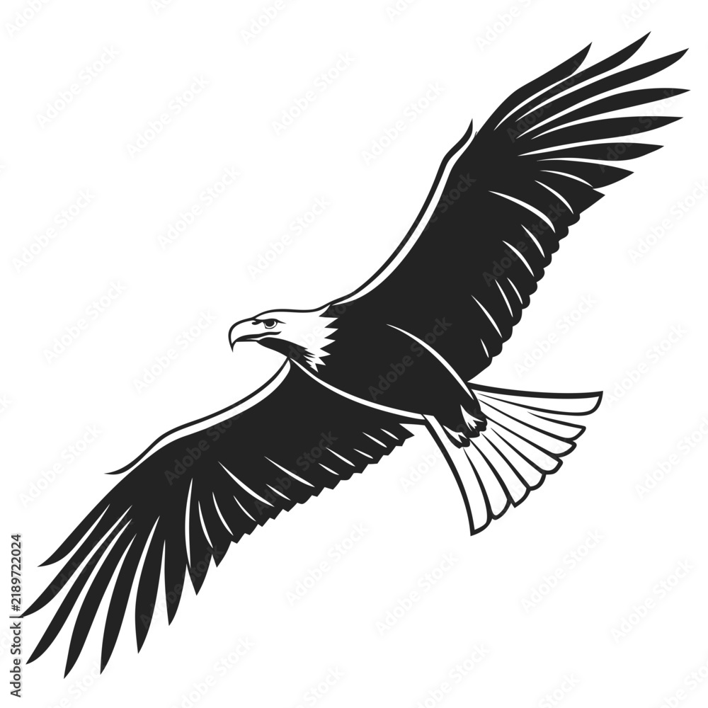 Obraz premium Majestic bald eagle soaring with wings spread wide in a detailed black and white illustration flying bird wildlife art
