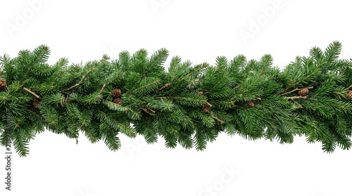 Christmas fir tree garland with pine cones isolated on transparent background