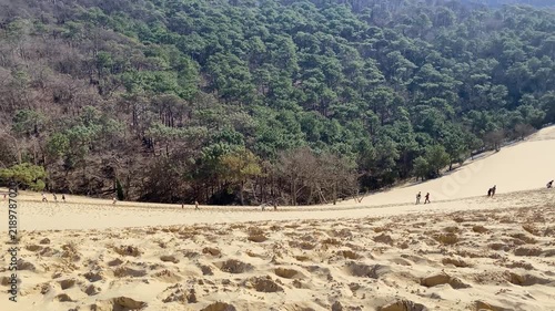 View of pine forests surrounding the Dune du Pilat in southwestern France. The landscape shows the contrast between the expansive sandy dune and the surrounding coastal woodland of the Landes region.
