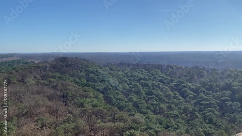 View of pine forests surrounding the Dune du Pilat in southwestern France. The landscape shows the contrast between the expansive sandy dune and the surrounding coastal woodland of the Landes region.