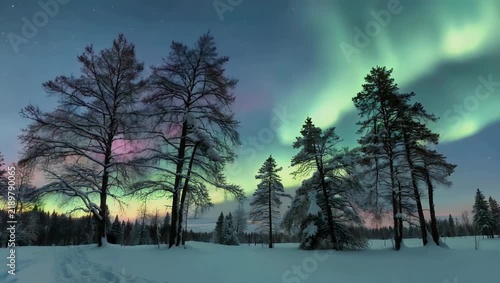 Authentic 4K real-time nature capture showing vibrant multi-colored Northern Lights shifting smoothly in the night sky directly above a silhouetted treeline filmed without any fast-forward