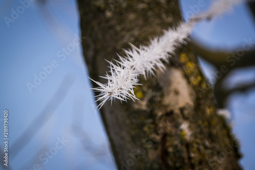 Macro shot of sharp ice crystals and hoarfrost on a tree branch