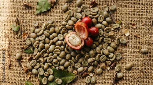 Fresh Raw Green Coffee Beans and Red Coffee Cherry on Burlap