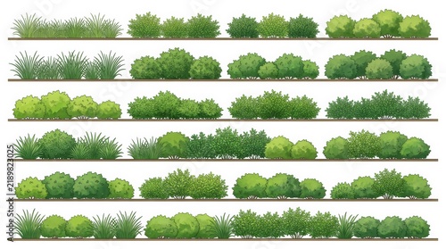 Architectural elevation illustration of green shrubs and ground cover isolated on white.