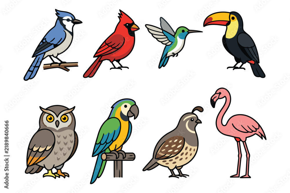 Obraz premium Colorful cartoon birds illustration set