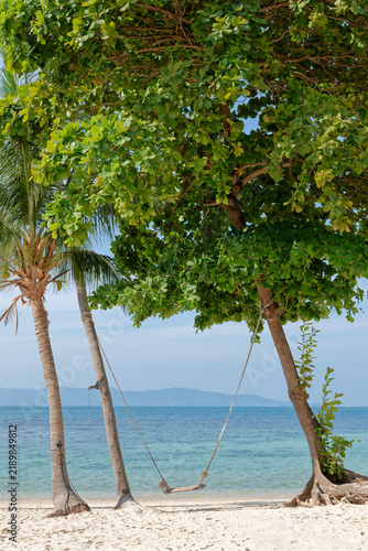 Rope swing hanging on a tree on a deserted tropical beach overlooking the sea