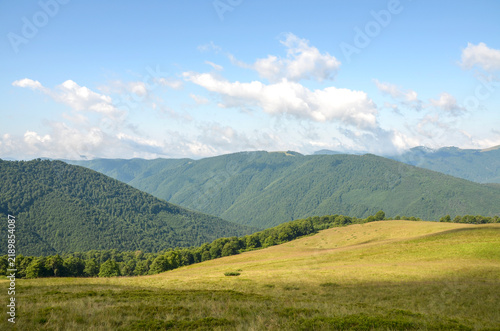 Expansive panoramic view of a sunlit mountain meadow overlooking rolling green hills and dense forested valleys under a bright blue sky with scattered clouds. Carpathian Mountains, Ukraine