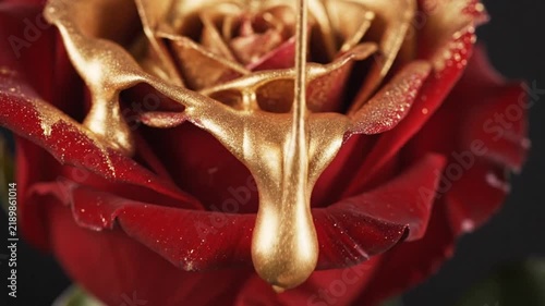 Close up of a deep red flower covered in dripping metallic gold paint creating a luxurious visual texture