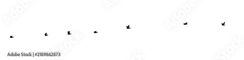 Flock of pelicans in silhouette flying in a line, symbolizing freedom and migration. Transparent background. PNG File.