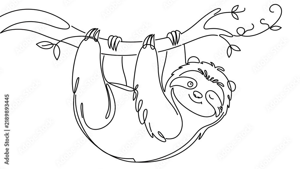 Fototapeta premium Sloth hanging white background.