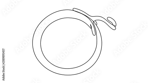 Obraz na płótnie Ring with tag white background.
