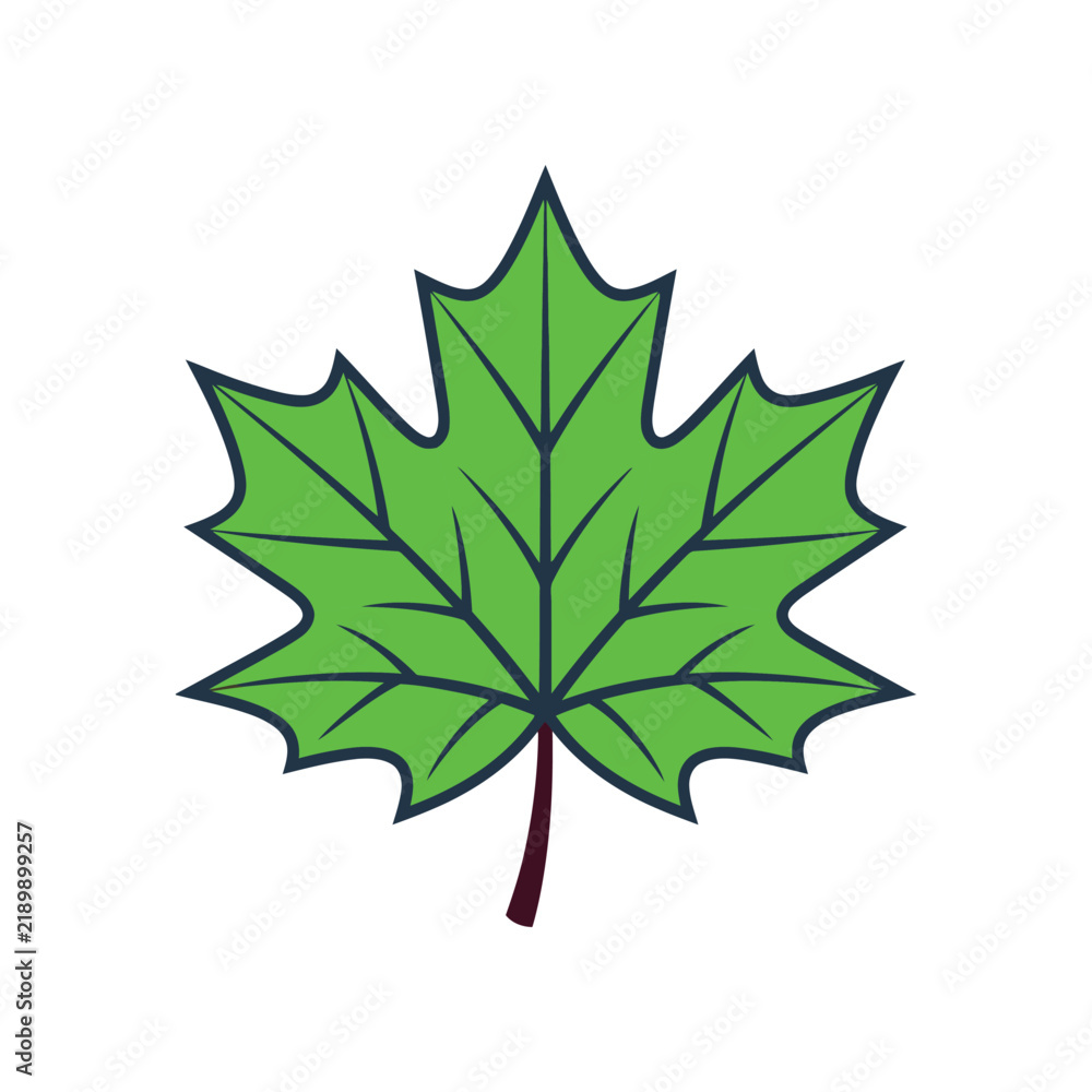 Fototapeta premium PrintGreen-Maple Leaf Vector Illustration Isolated on White Background