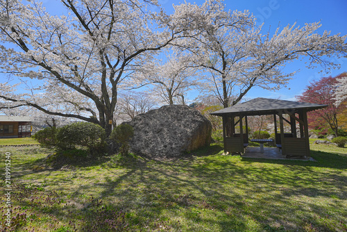 Cuadro en lienzo きみまち阪県立自然公園