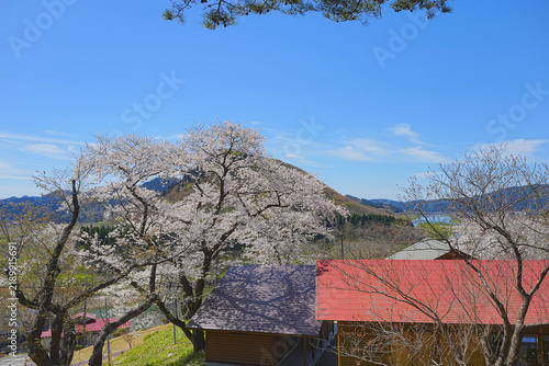 Cuadro en lienzo きみまち阪県立自然公園