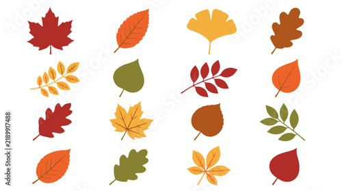 Assorted Vector Autumn Leaves in a Grid Pattern Minimalist Flat Design