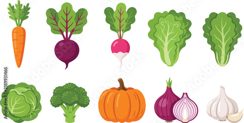 Fresh farm raw organic vegetables collection colorful harvest icons set for healthy food diet.