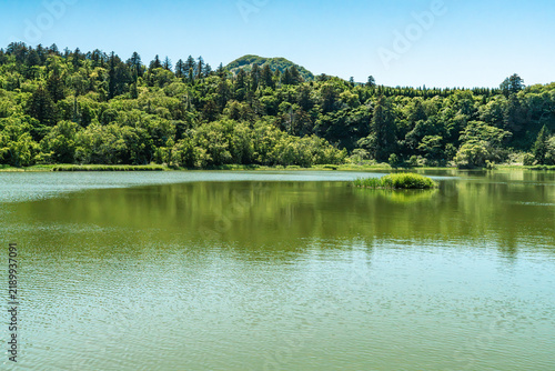 Calm Water and Forest Under Summer Sunlight near Lake Himenuma, Rishiri Island