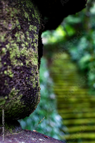 Obraz w ramie 鎌倉26914 妙法寺2 苔の石段