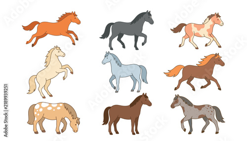 Fotografie Beautiful horse vector set featuring cute handdrawn horses running trotting and