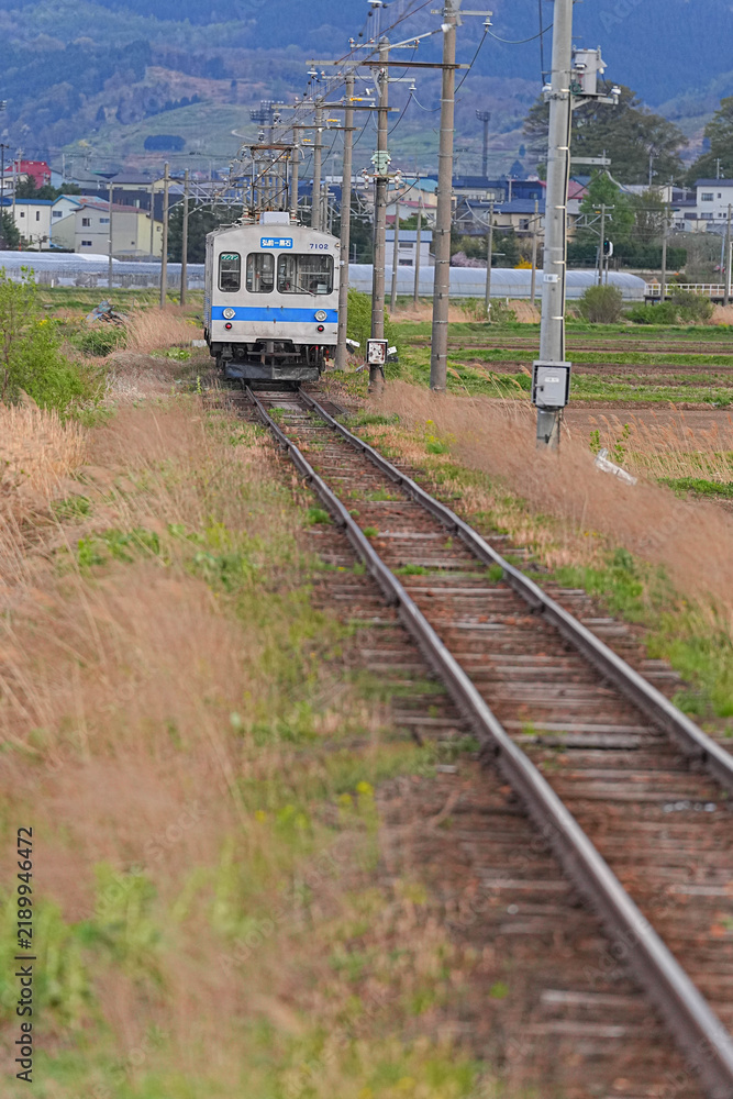 Obraz premium 田んぼアート駅