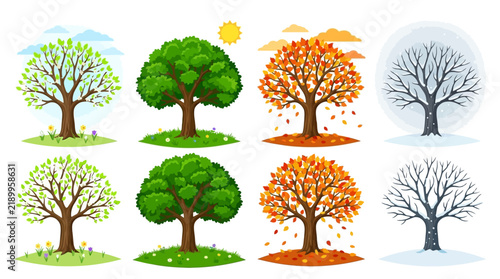 Set of four trees representing the four seasons spring summer autumn and winter.