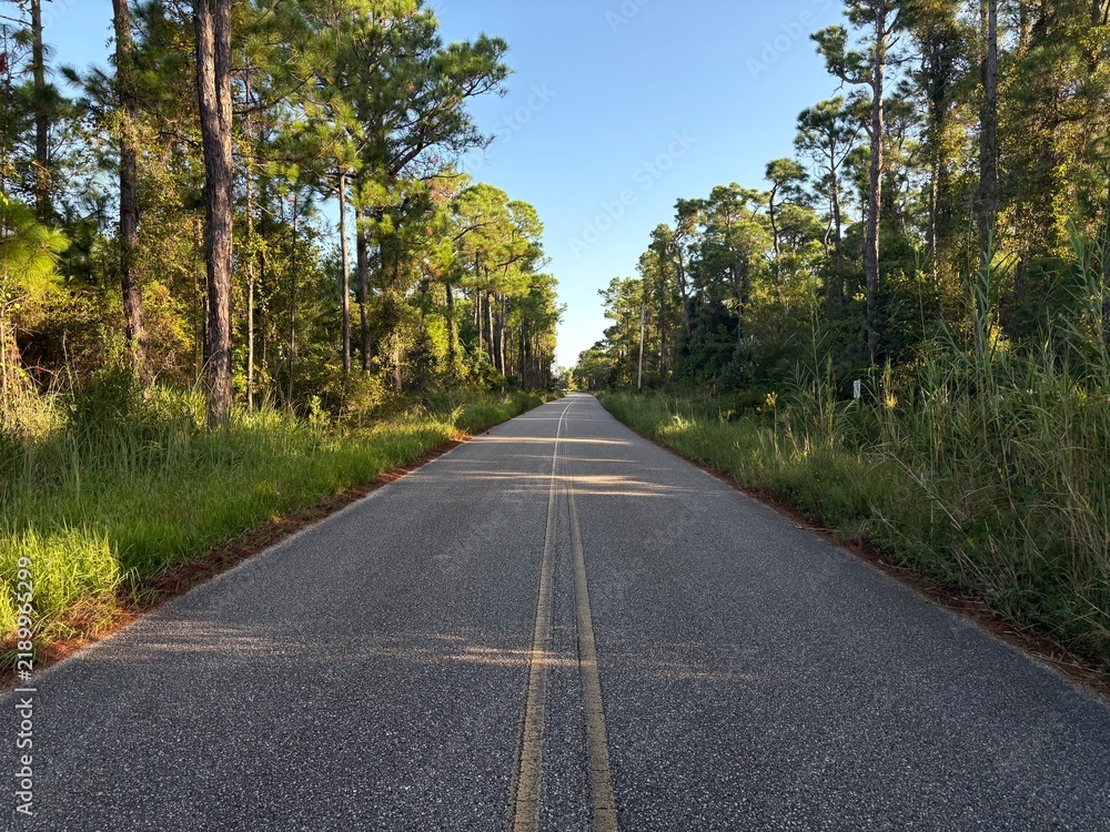 Fototapeta premium Country Road Through Bon Secour National Wildlife Refuge Near Gulf Shores, Alabama